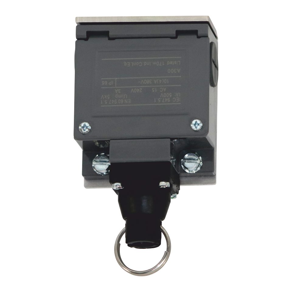 DMSC Intrerupator snur